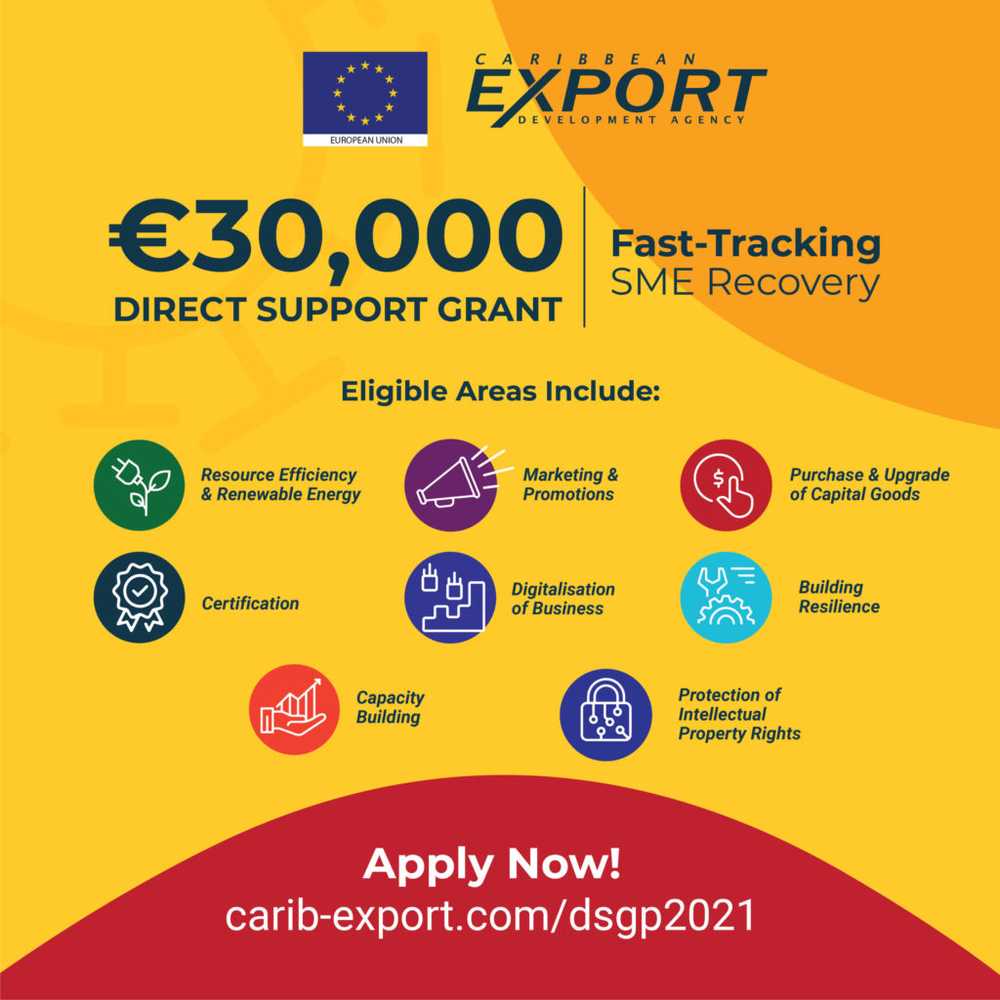 DSGP-Flyers-Apply-Now-IGFB-scaled