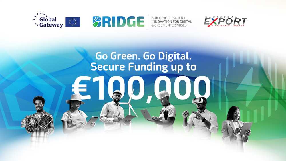 BRIDGE-Flyers_Hero-scaled